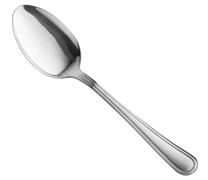 Stainless Serving Buffet Spoon 10 Inch
